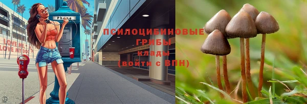 амф Володарск