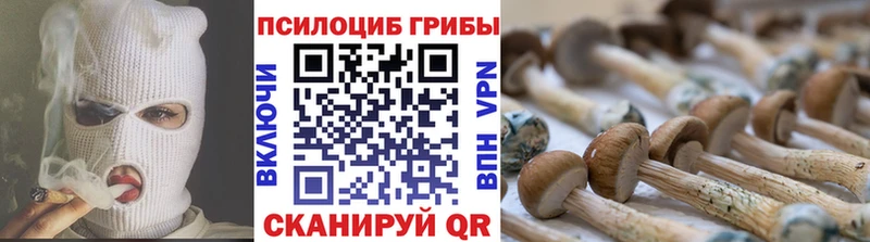 Галлюциногенные грибы Psilocybe  hydra ССЫЛКА  Лукоянов  купить наркотики сайты 